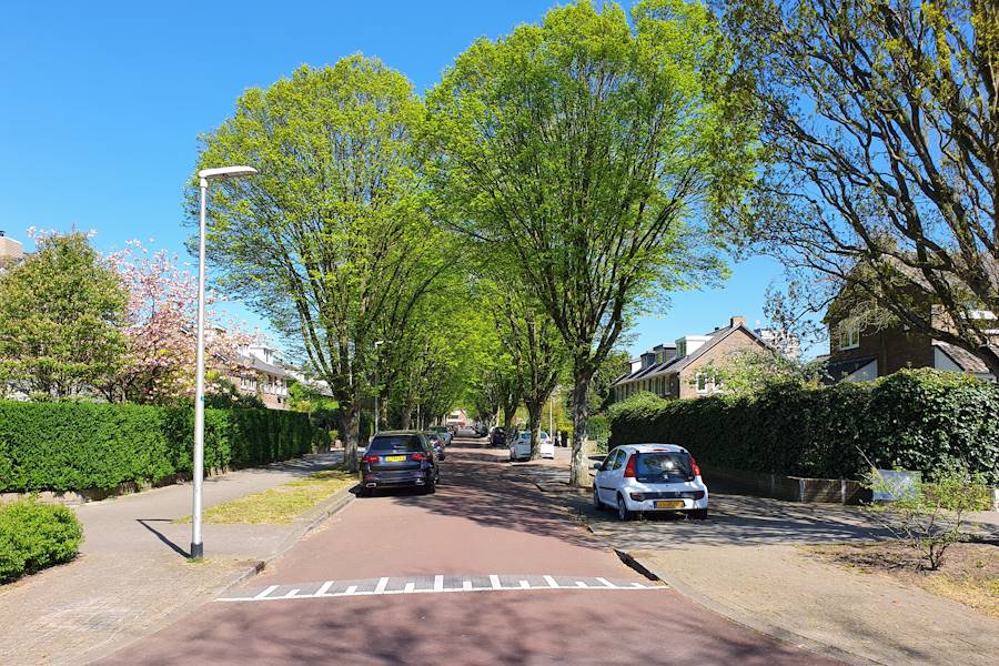 Bloemenbuurt 3
